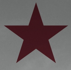 Californios V2 F2013 Issue (1) (dragged)